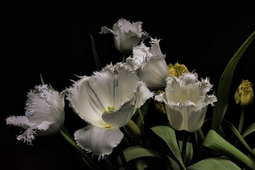 Blumenstrauß mit Tulpen 