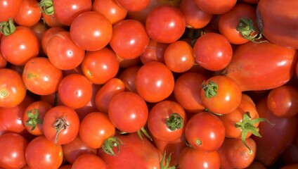 Cherry Tomatoes