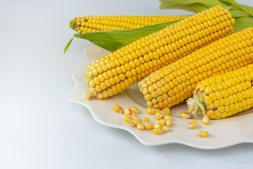 Maize. Green corn on the plate. Concept is a plant that is rich in food nutrition.It has a lot of carbohydrates, dietary fiber, vitamins and minerals. Space for text