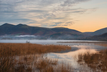 Absolutely stunning vibrant Autumn sunrise landscape image looking from Manesty Park in Lake Distict towards sunlit Skiddaw Range with mit rolling across Derwentwater surface