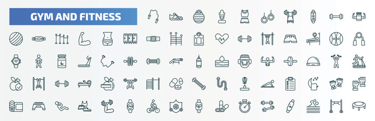 special lineal gym and fitness icons set. outline icons such as skip rope, female sportwear, protein, fitness body, power ball, boxing bag, to do list, fitness step, riding bicycle, little dumbbell