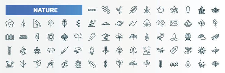 special lineal nature icons set. outline icons such as woods, sprig with five leaves, straberry leaf, yew leaf, hawthorn leaf, chestnut ovate, bamboo sticks, magnolia acacia line icons.