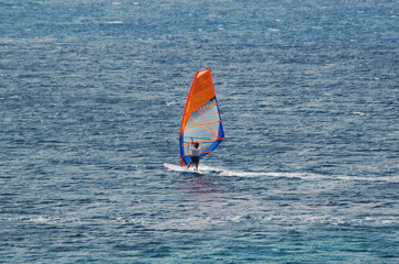 Sea and windsurfer