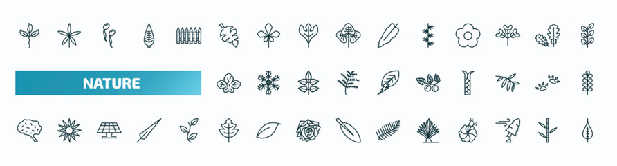 Fototapeta na wymiar set of 40 special lineal nature icons. outline icons such as cuspicate, leaf monstera, larch leaf, dry leaf, briar human brian, tree leave, yucca, damaged, poplar line icons.