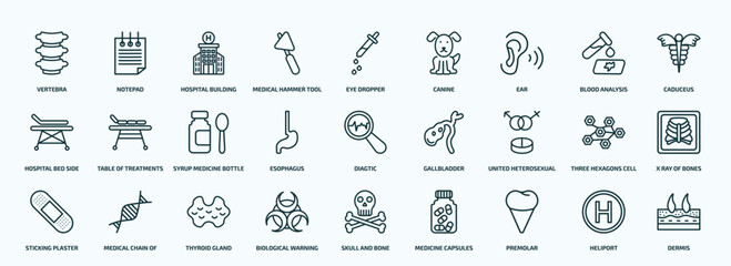special lineal medical icons set. outline icons such as vertebra, medical hammer tool, ear, hospital bed side view, esophagus, united heterosexual, sticking plaster, biological warning, premolar,