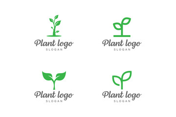 Plant logo collection