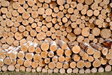 A woodpile of round birch logs in two rows, harvested for the winter for stove heating.Sale,purchase of firewood.Chop wood.Blank for decoration