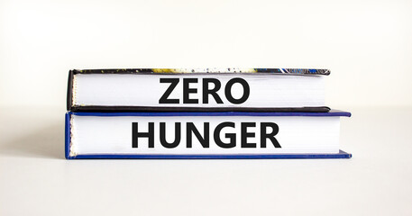 Zero hunger symbol. Concept words Zero hunger on books on a beautiful white table white background. Business, support and Zero hunger concept. Copy space.