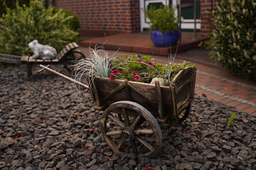 Fototapeta na wymiar Decorative wheelbarrow with flowers inside
