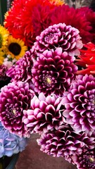 A bunch of purple Dahlia flowers mixed with sunflowers in Tbilisi, Georgia