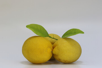 lemons on a white background	

