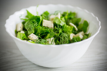 fresh green lettuce salad with mozzarella and herbs in a bowl