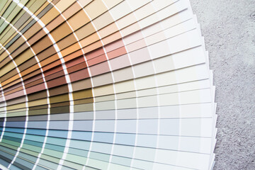 Multicolor paint samples - color swatch for interior design. Gray concrete cracked background