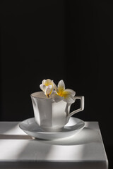 Plumberia rumba in a coffe cup, eucalyptus branch in a vase and cup of coffee on a white table against a black wall Vertical frame. Space for text