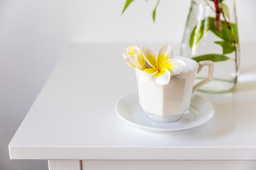 Plumberia rumba in a coffe cup, eucalyptus branch in a vase and cup of coffee on a white table...
