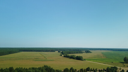 Fototapeta na wymiar Rural landscape. Green forests and fields. Aerial photography.