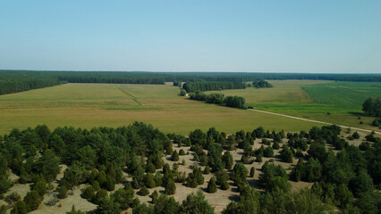 Rural landscape. Green forests and fields. Aerial photography.
