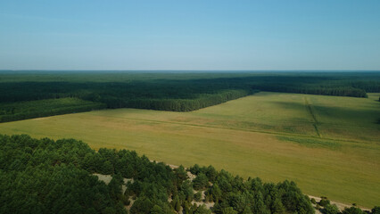 Rural landscape. Green forests and fields. Aerial photography.