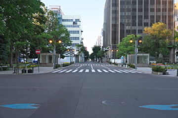 Hokkaido,Japan - July 8, 2022: A pedestrian crossing near Odori park in Sapporo, Hokkaido, Japan
