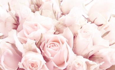 Obraz na płótnie Canvas bouquet of roses close up