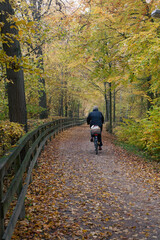 bike ride in the park
