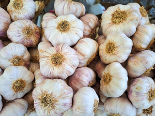 close up of garlic heads at a French market stall