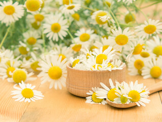 fresh chamomile on a spoon and in a bowl, medicinal chamomile flowers on a wooden table