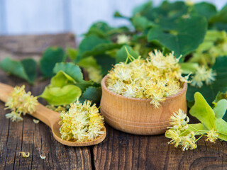 Fresh flowers of linden or linden cordate on a wooden table and in a wooden bowl