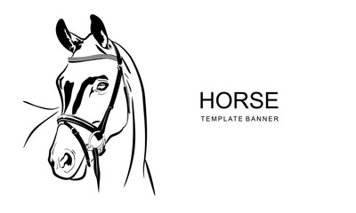 Horse banner design. Line illustration horse head with space for text