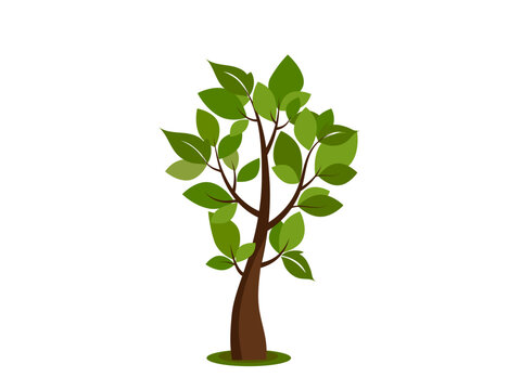 Tree icon. Nature, park. Vector image.