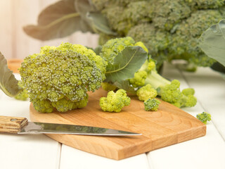 Lots of broccoli for diet and healthy eating. Fresh green broccoli on the table. Organic products