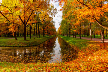 Autumn foliage in Alexander park, Tsarskoe Selo (Pushkin), Saint Petersburg, Russia