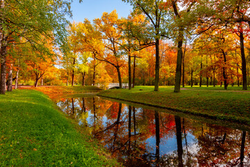 Autumn foliage in Alexander park, Tsarskoe Selo (Pushkin), Saint Petersburg, Russia