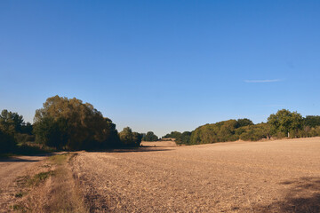 S&egrave;cheresse, le climat change