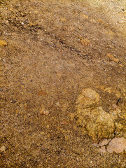 background stone in the sand close up