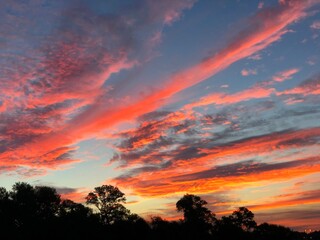 Gorgeous streaks of sunrise clouds in the skies