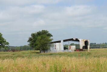 Dilapidated barn in an open farmland