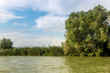 a riverside landscape of Danube delta, Odessa region, Ukraine