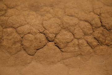 cracked earth background