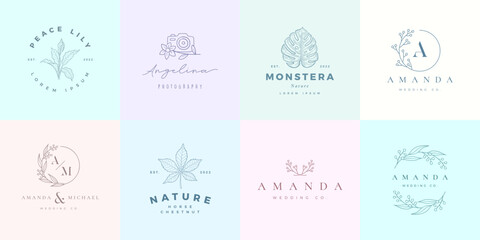MInimalist feminine hand drawn floral logo