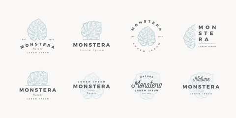 Hand drawn monstera logo