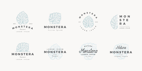 Hand drawn monstera logo © Kiky Gravisi