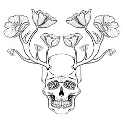 Skull with horns and flowers. Hand drawn vector skull with antlers and flowers isolated on white background. Monochrome. Tatoo. Vintage. Phsycodelic art