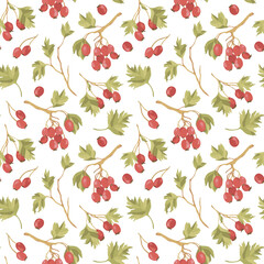 Vector seamless pattern of hawberry shrub. Autumn forest concept. Hawthorn background