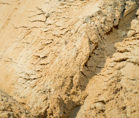 sand construction quarry. texture of sand for construction close-up