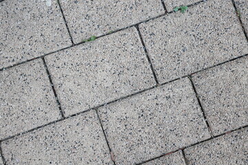 Cobblestone paving pattern gray stones on the ground autumn clean with small terrain and green leaves between bricks