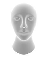 Model of head on white background. 3D Illustration.