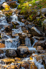 Fall colours at O'Shaunessy Falls. Bow Valley Wilderness Area, Alberta, Canada