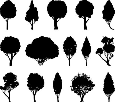 Vector trees silhouettes. Tree clipart. Black trees for print