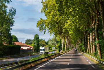 Straight road with two rows of trees on its edges and several vehicles circulating along it, creating a vanishing point.